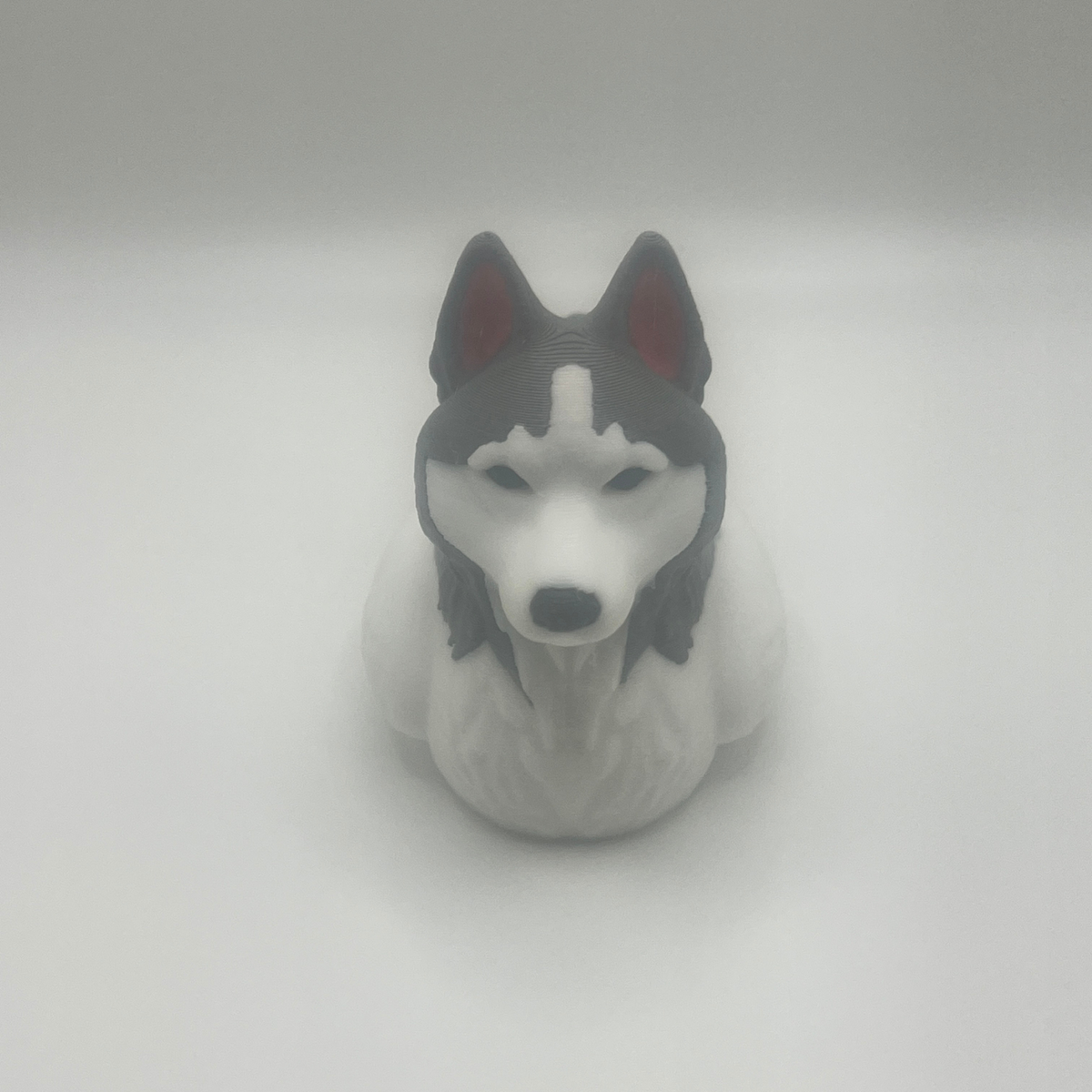 Siberian Husky Duck