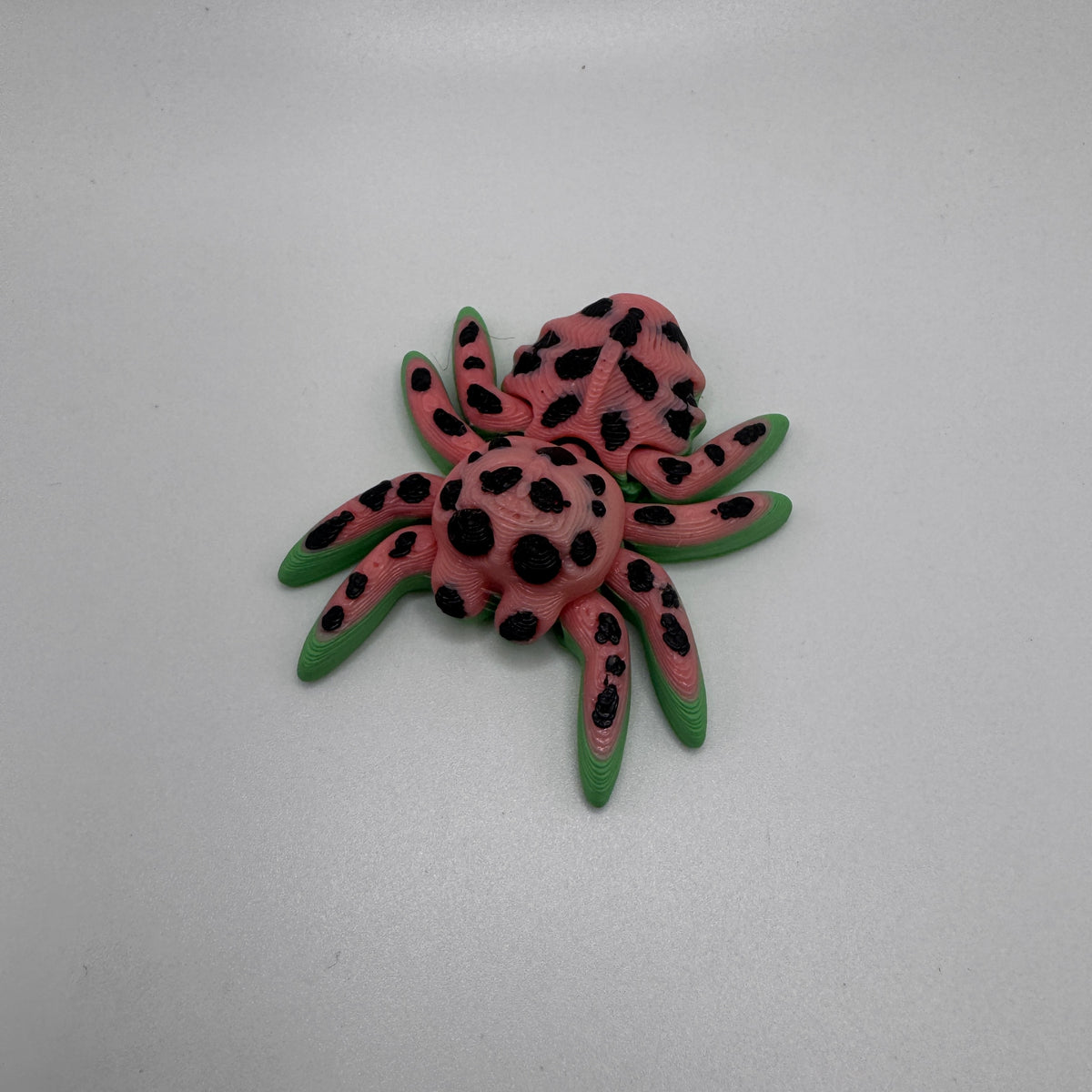 Spider, Watermelon