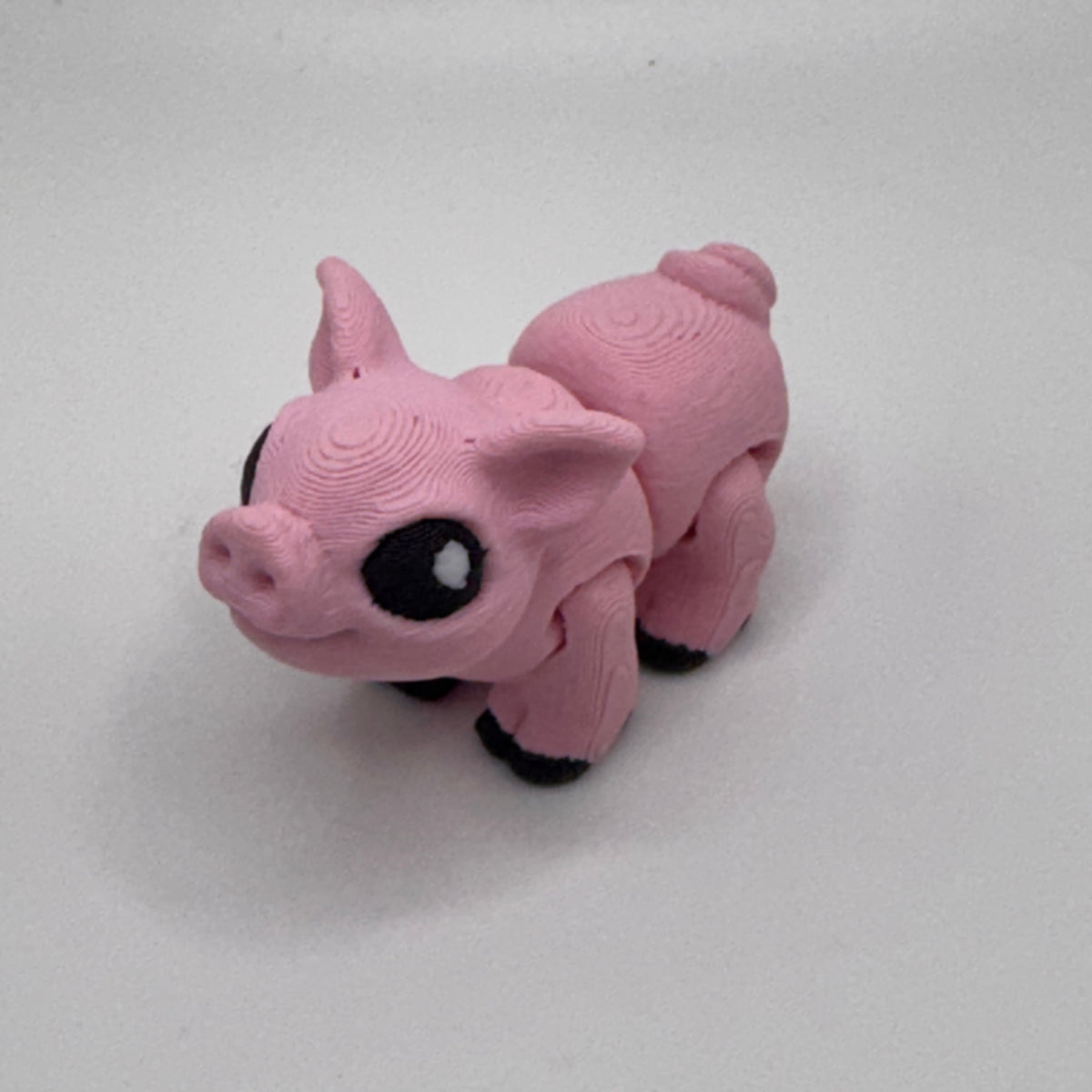 Pig