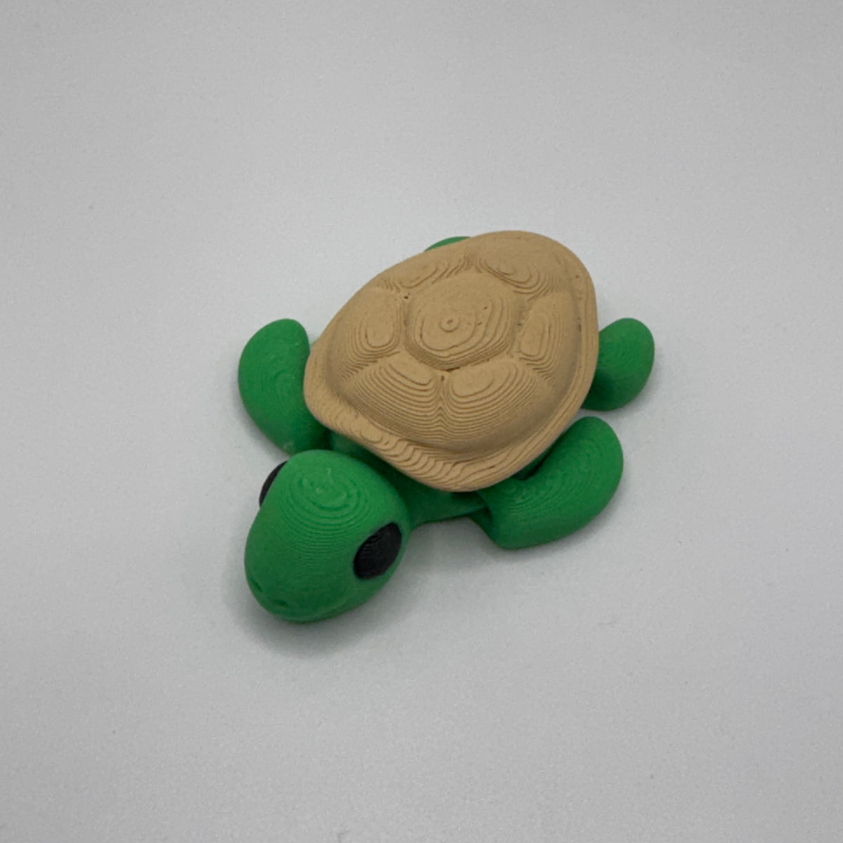 Turtle