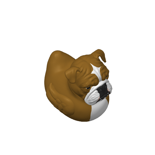 Wrinkled Tough Pugilist Dash Duck (3D render, made to order)