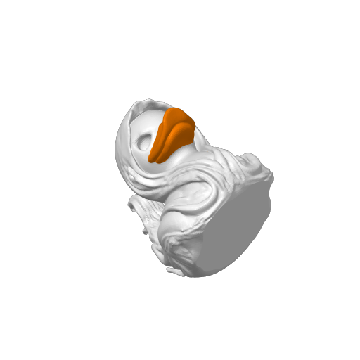 Halo Crowned Winged Guardian Dash Duck (3D render, made to order)