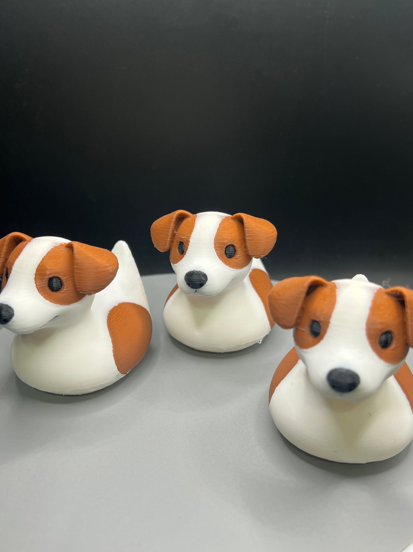 Jack Russell Terrier Jeep Duck