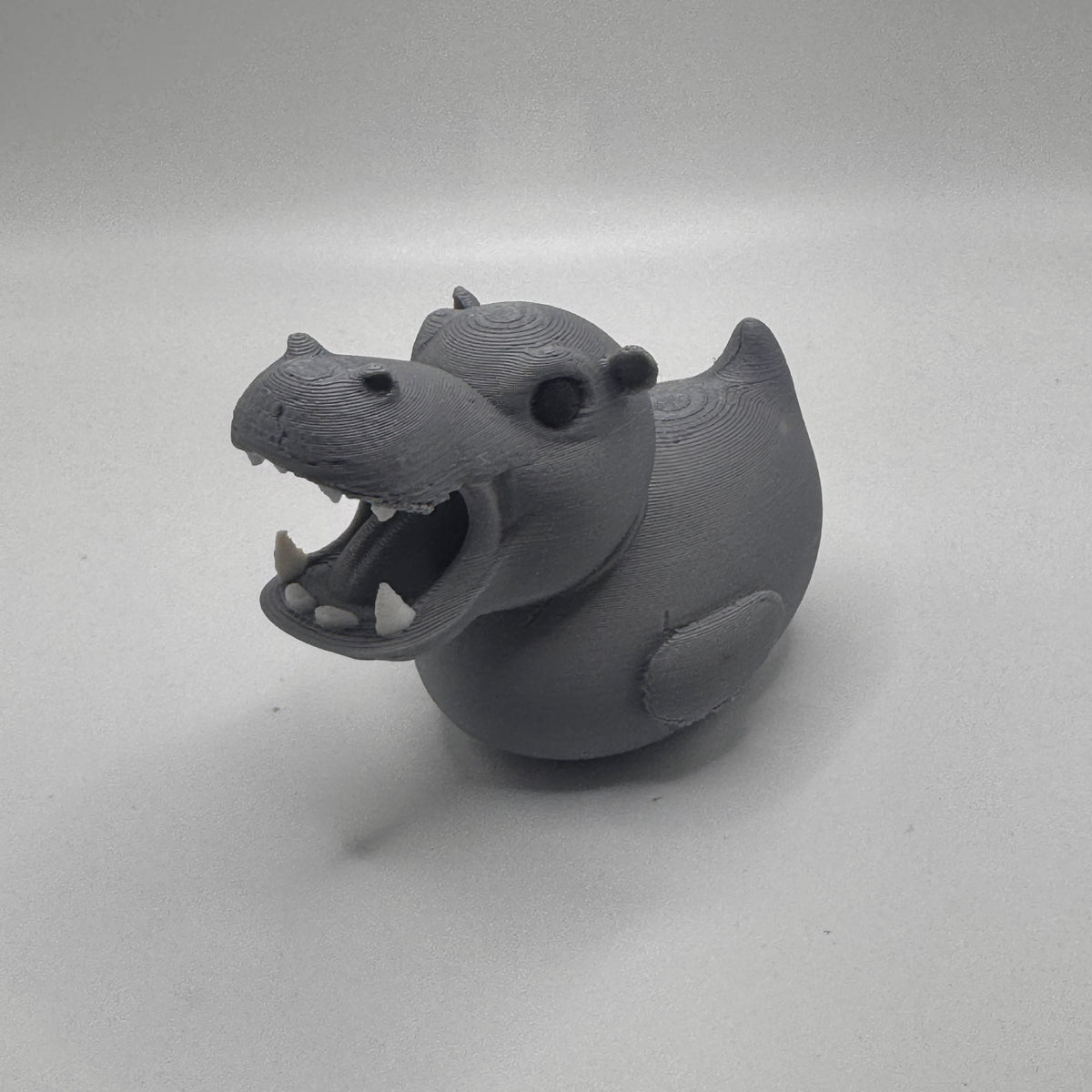 Hippo Dash Duck