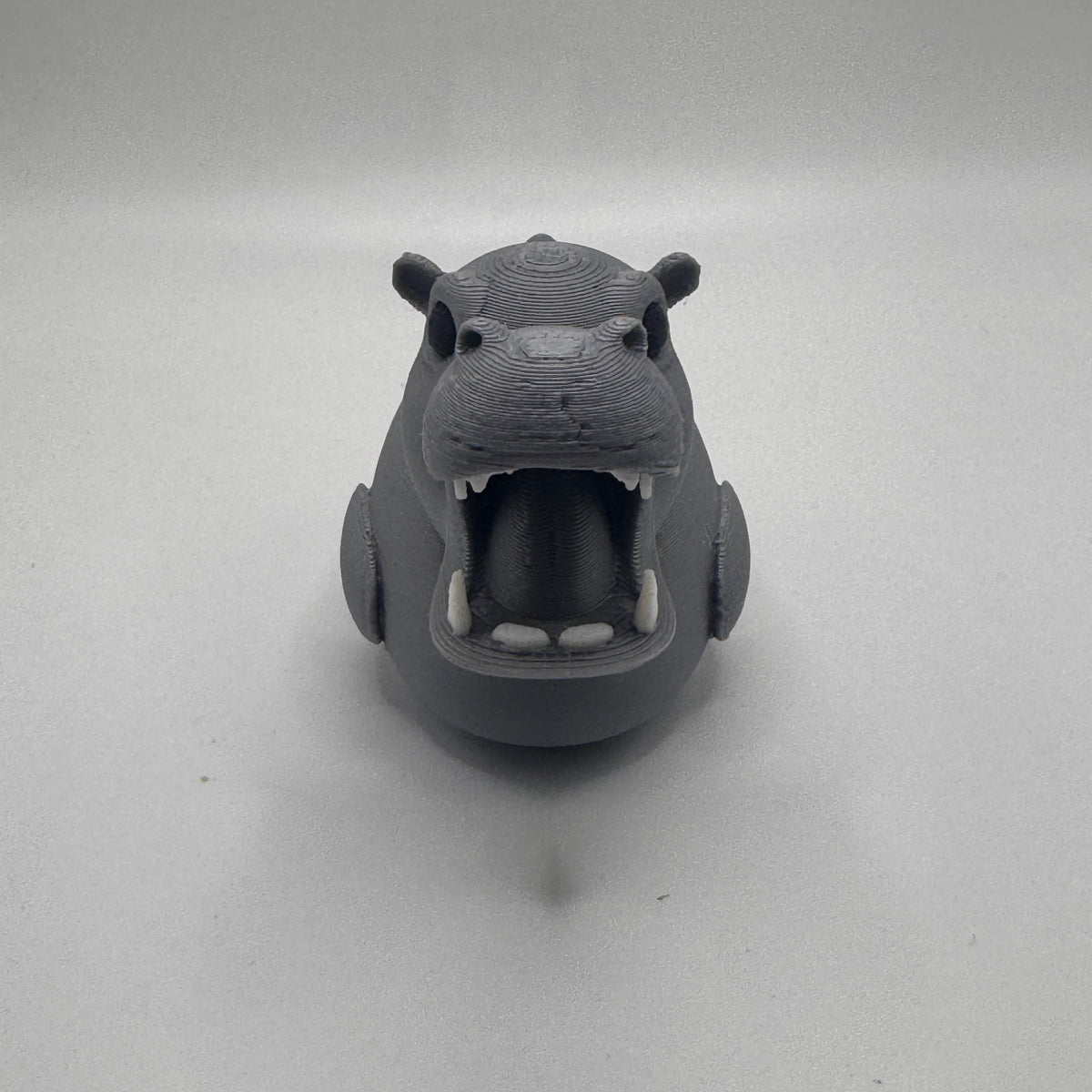 Hippo Dash Duck