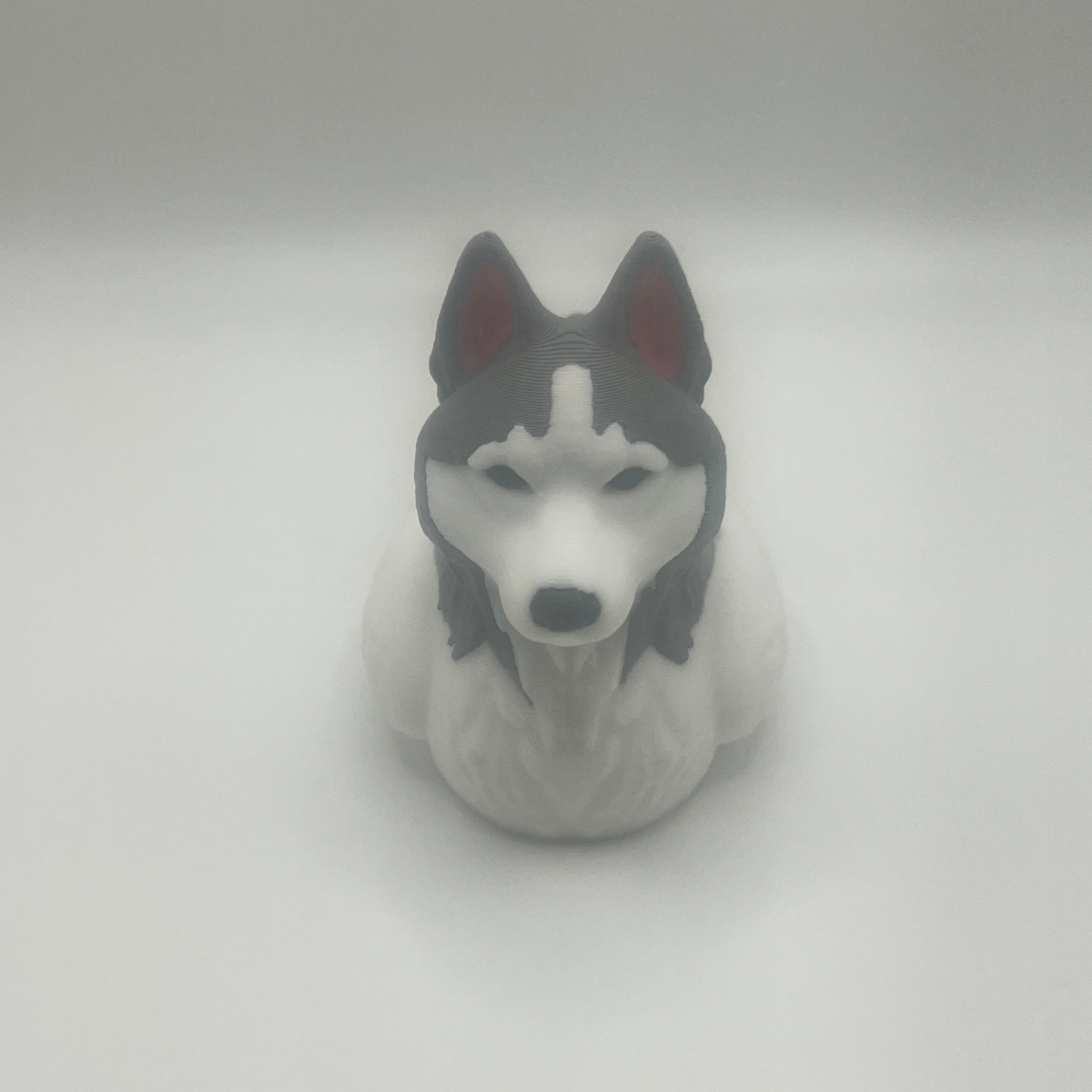 Siberian Husky Duck