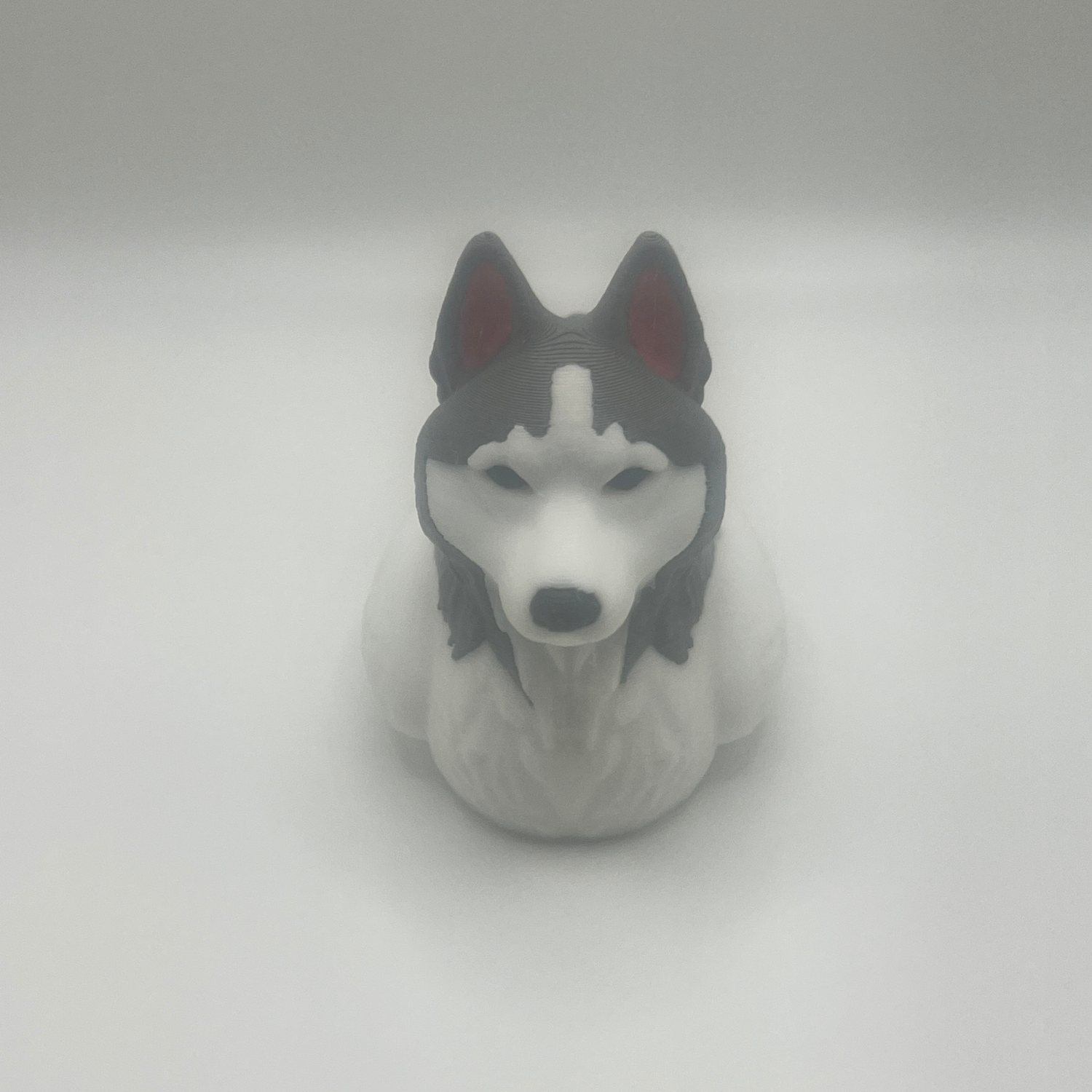 Siberian Husky Duck