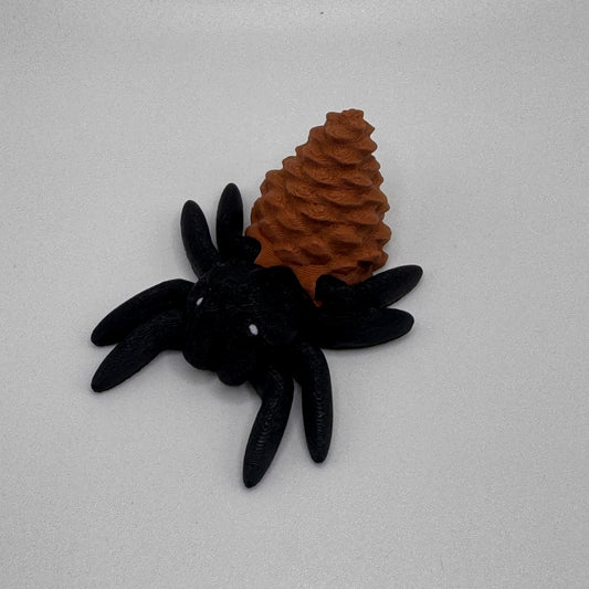 Spider, Acorn