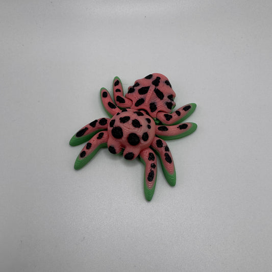 Spider, Watermelon