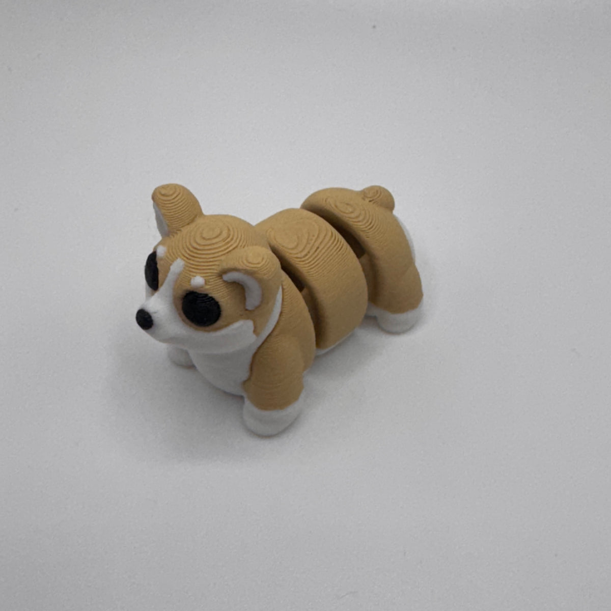 Corgi