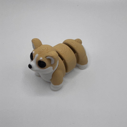 Corgi
