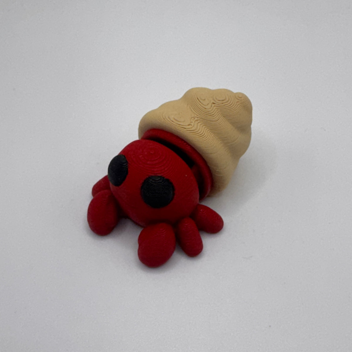 Hermit Crab