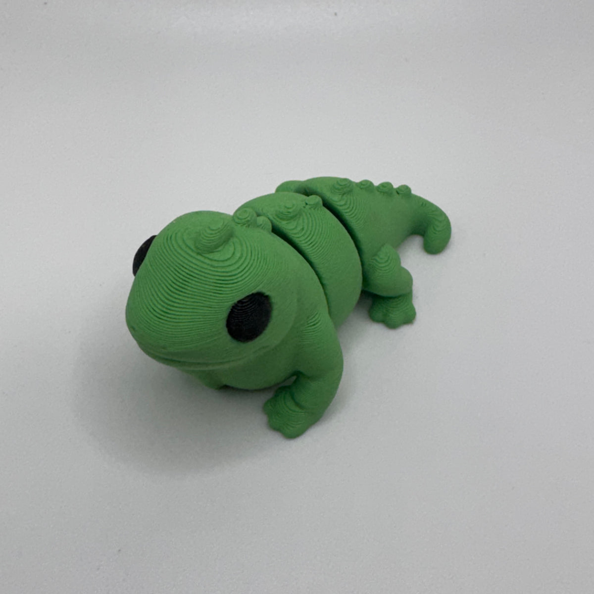 Iguana