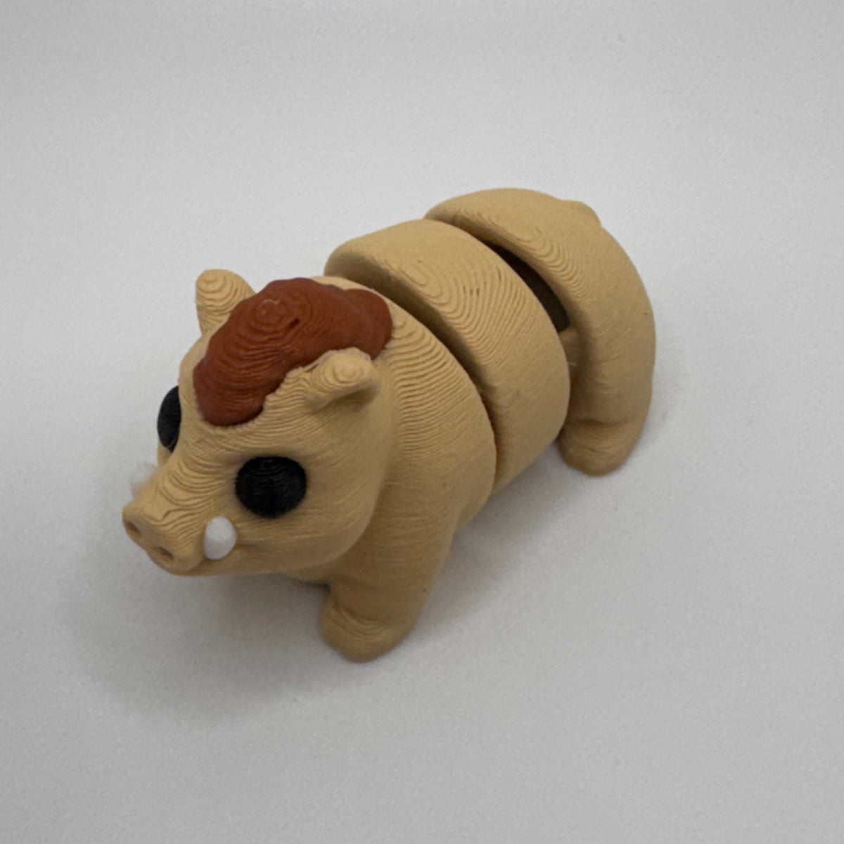 Boar