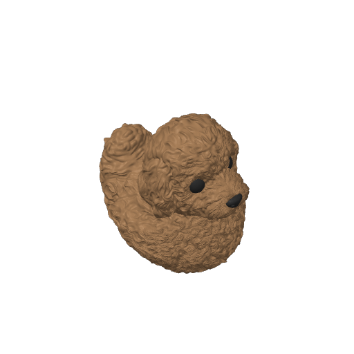 Curly Golden Doodle Pup Dash Duck (3D render, made to order)