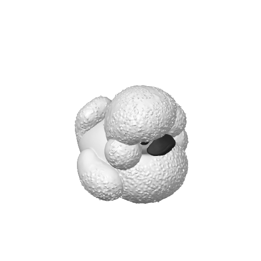 Curly Coated Elegant Dog Dash Duck (3D render, made to order)
