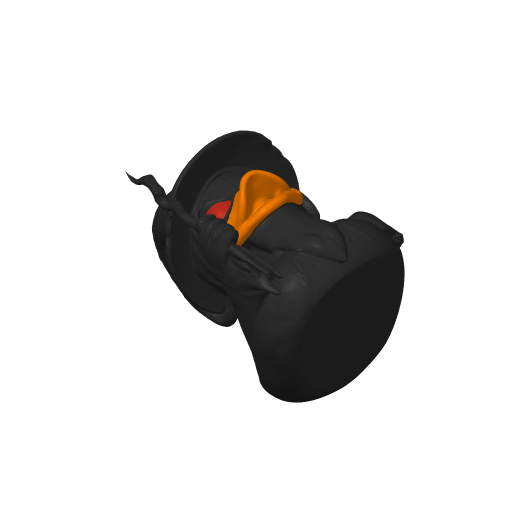 Robe Wearing Spell Caster Dash Duck (3D render, made to order)