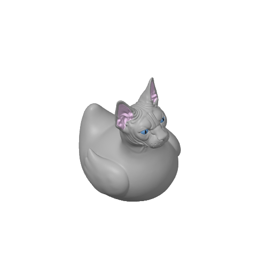 Hairless Wrinkled Feline Dash Duck (3D render, made to order)