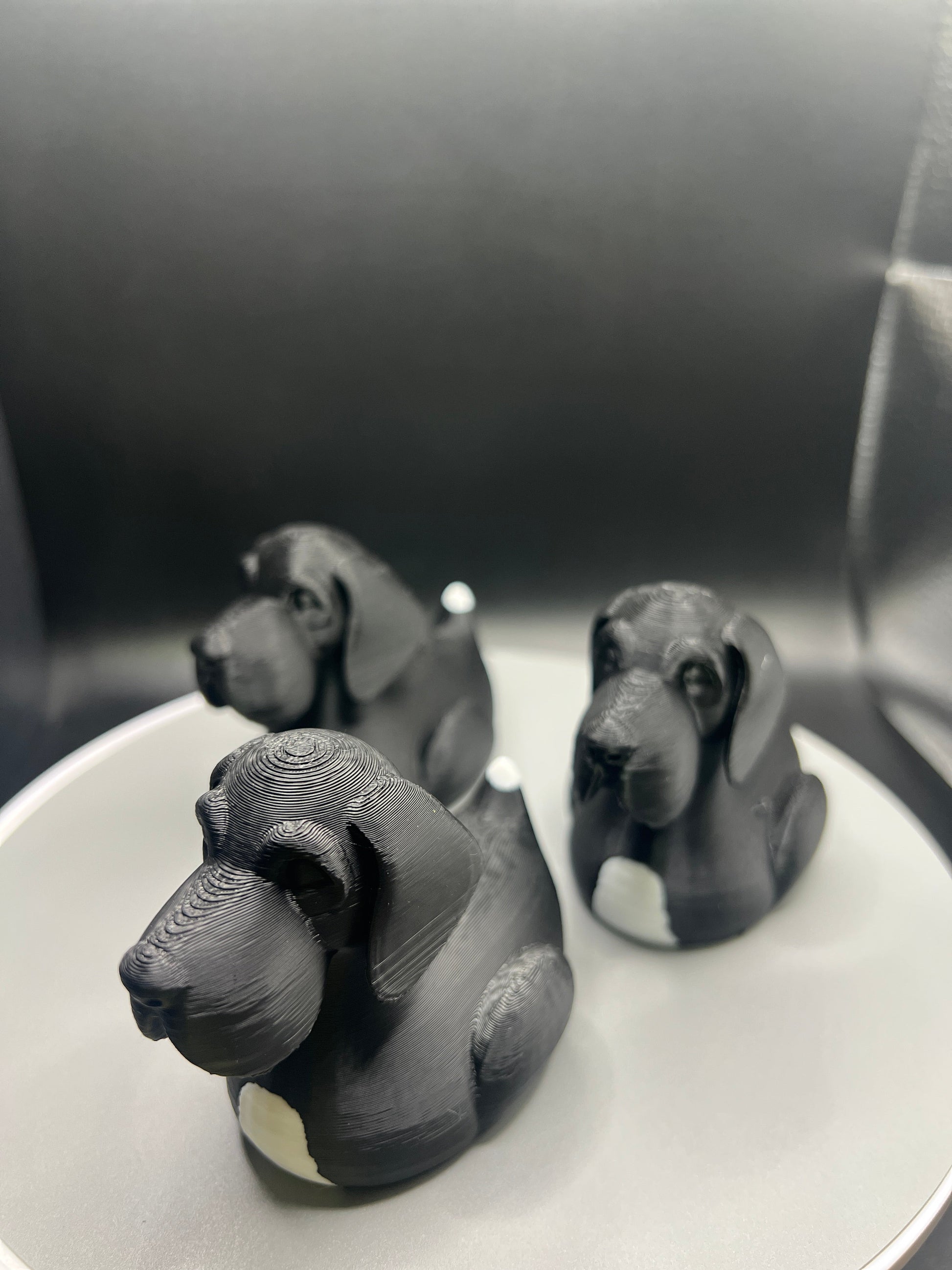Great Dane Jeep Duck - Black/White