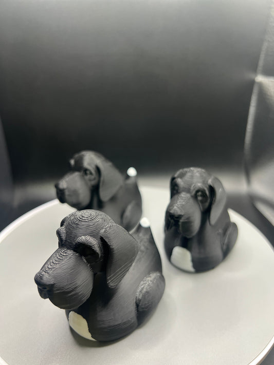 Great Dane Jeep Duck - Black/White