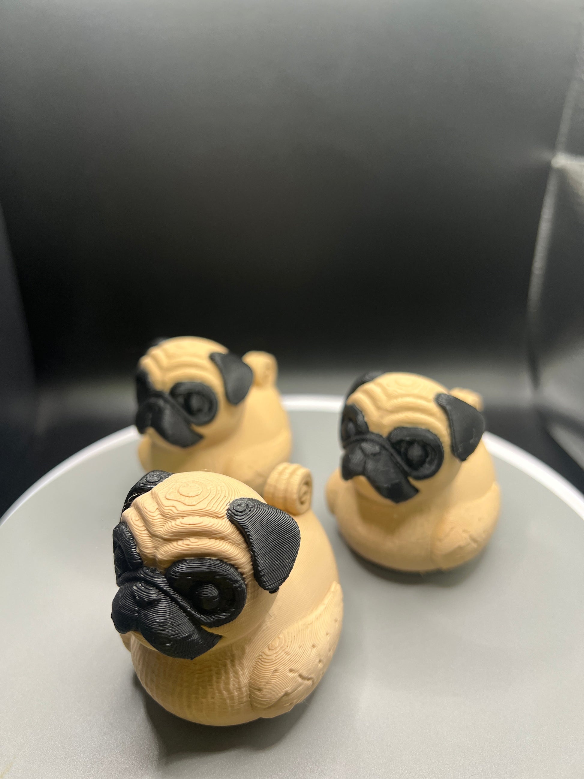 Pug Jeep Duck